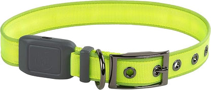 Nite Ize NiteDog Rechargeable LED Collar - Light Up Dog Collar with Durable Metal Buckle - Water-Resistant & Rechargeable Collar - Dog Supplies for Night Activities - Large, Lime