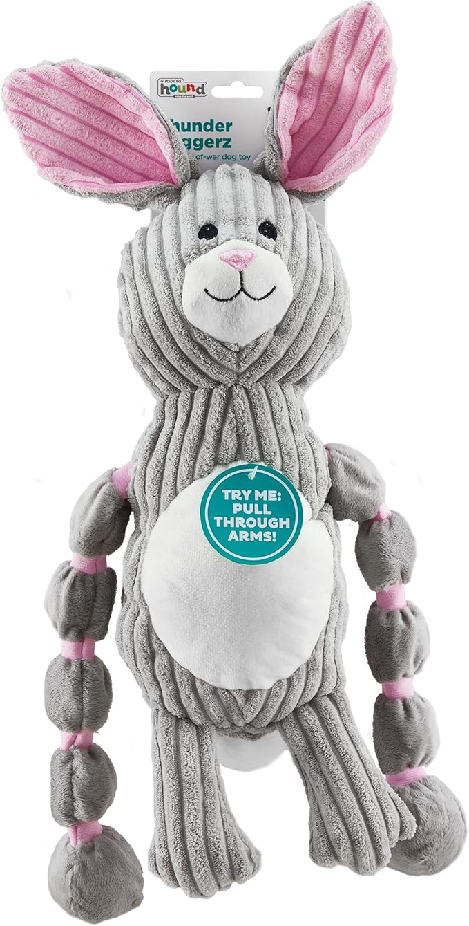 Outward Hound Thunda Tugga Bunny Plush & Squeaky Dog Tug Toy