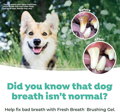 TropiClean Fresh Breath Dog Oral Care Kit for Large Dogs | Total Care System for Plaque & Tartar Control | Dog Tooth Brushing Kit for Large Dogs