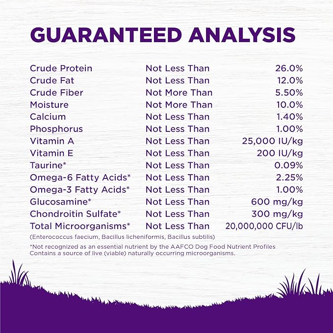 Wellness Complete Health Grain Free Adult Dry Dog Food, Lamb & Lamb Meal Recipe, 22 Pound Bag