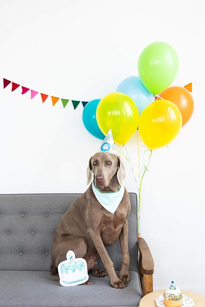 Pearhead Pet Birthday Pawty Kit, Pet Birthday Party, Includes Dog Toy, Party Hat, and Bandana, Multi One Size