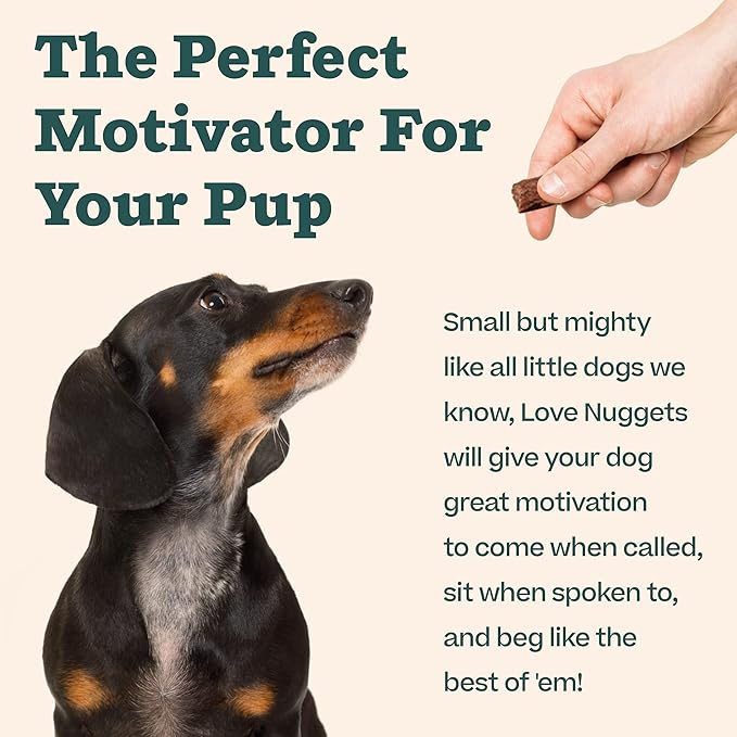 WOOF Love Nuggets, Made in The USA Dog Treats for Training, Jerky for Dogs, Bite-Sized Beef Training Treats
