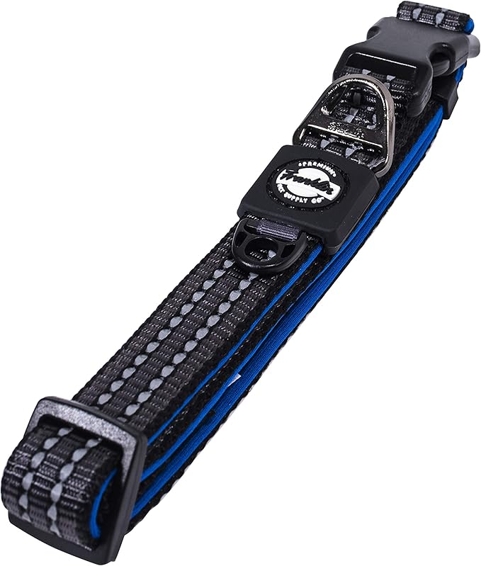 Nylon Dog Collar – Reflective – Franklin Pet Supply Co™ – Comfort Fit – Neoprene – Adjustable – Small – Blue