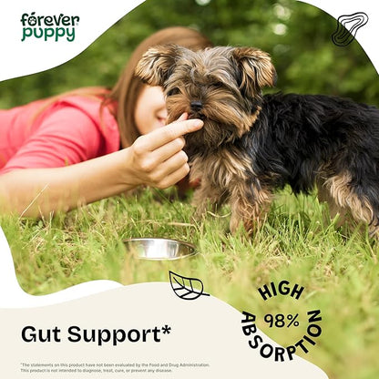 Slippery Elm Drops for Dogs - Gut Health Supplement w/Slippery Elm Bark - Soluble Fiber Digestive Drops for Dogs - Liquid Dog Vitamins and Supplements for Pet's Happy Tummy - 4 oz