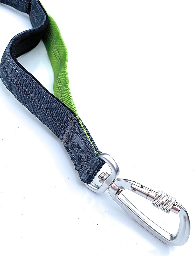 Hands Free Dog Leash with Locking Carabiner | Waterproof Running Dog Leash with Zipper Pouch, Dual Padded Handles and Durable Bungee for Active Dogs and Lifestyles
