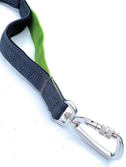 Hands Free Dog Leash with Locking Carabiner | Waterproof Running Dog Leash with Zipper Pouch, Dual Padded Handles and Durable Bungee for Active Dogs and Lifestyles
