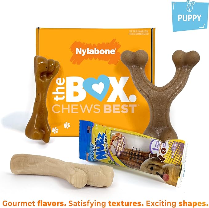 Nylabone Dog Toy Gift Box, includes 3 Strong Chew Toys and 1 Dog Treat, Chew Toys for Puppies, Small/Regular (4 Count)