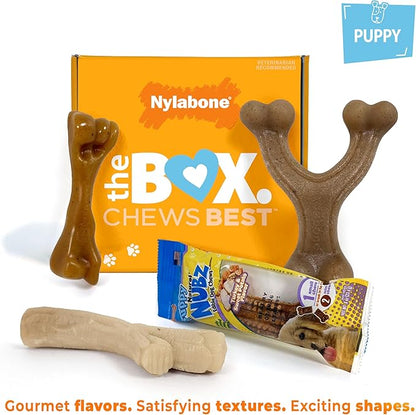 Nylabone Dog Toy Gift Box, includes 3 Strong Chew Toys and 1 Dog Treat, Chew Toys for Puppies, Small/Regular (4 Count)