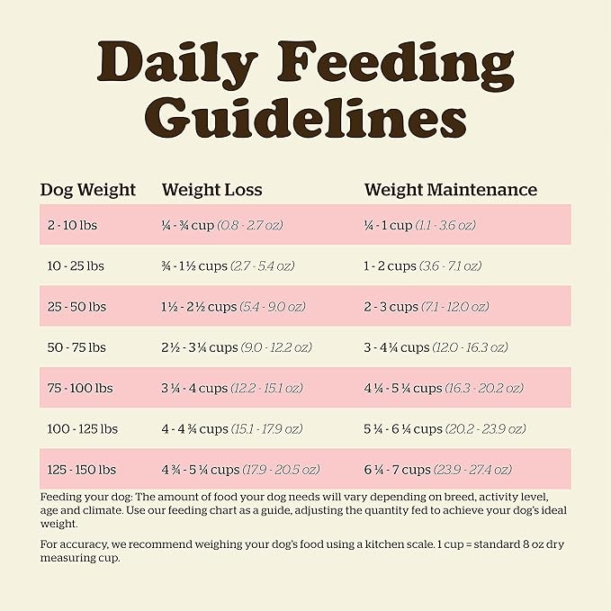 Now Fresh Grain Free Dog Food, 22 lb - Dry Dog Food Fish Recipe for Adult Dogs - Real De-Boned Fish for Protein - Healthy Diet for Small, Medium and Large Breed
