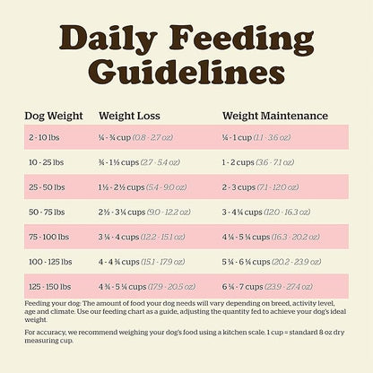 Now Fresh Grain Free Dog Food, 22 lb - Dry Dog Food Fish Recipe for Adult Dogs - Real De-Boned Fish for Protein - Healthy Diet for Small, Medium and Large Breed