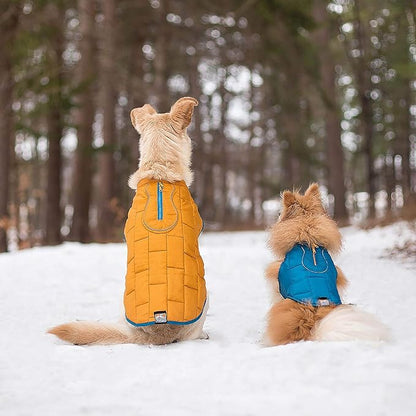 Kurgo Loft Dog Jacket, Reversible Winter Coat for Dogs, Reflective, Wear with Harness, Water Resistant, For Small Medium Large Pets (Coastal Blue, M)