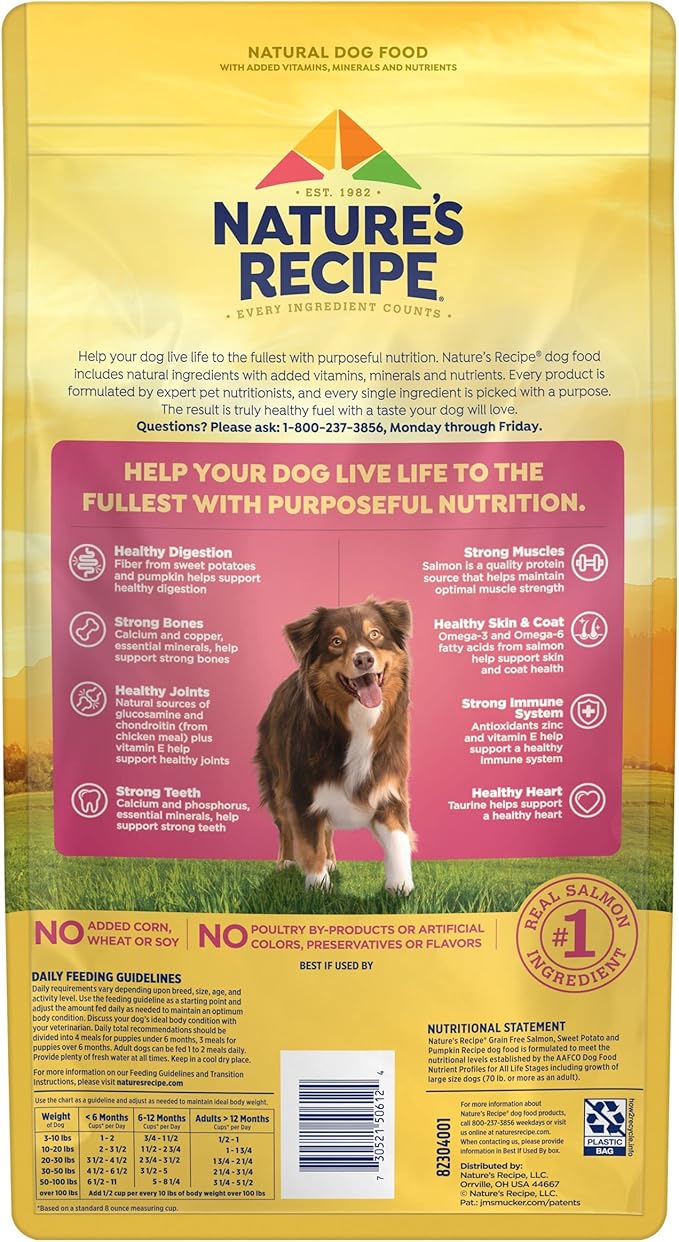 Nature′s Recipe Grain Free Salmon, Sweet Potato & Pumpkin Recipe Dry Dog Food, 4 lb. Bag