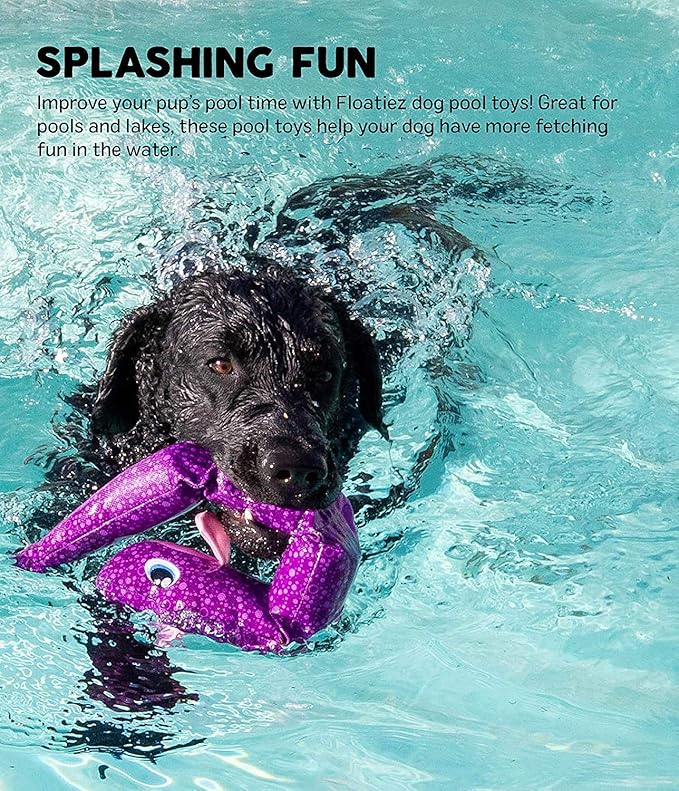 Outward Hound Floatiez Clownfish Floating Interactive Dog Toy, Small