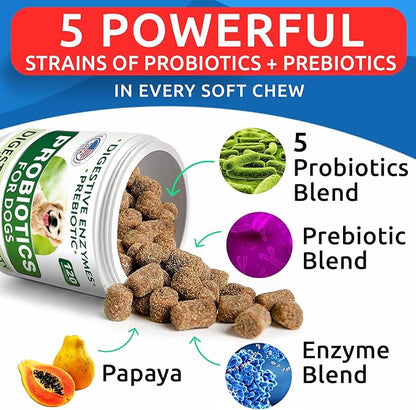Dog Probiotic Chews - Gas, Diarrhea, Allergies - Enzymes + Prebiotics - Chewable Fiber - Digestion, Immunity - USA Made - 100 Ct - ChickenLiver