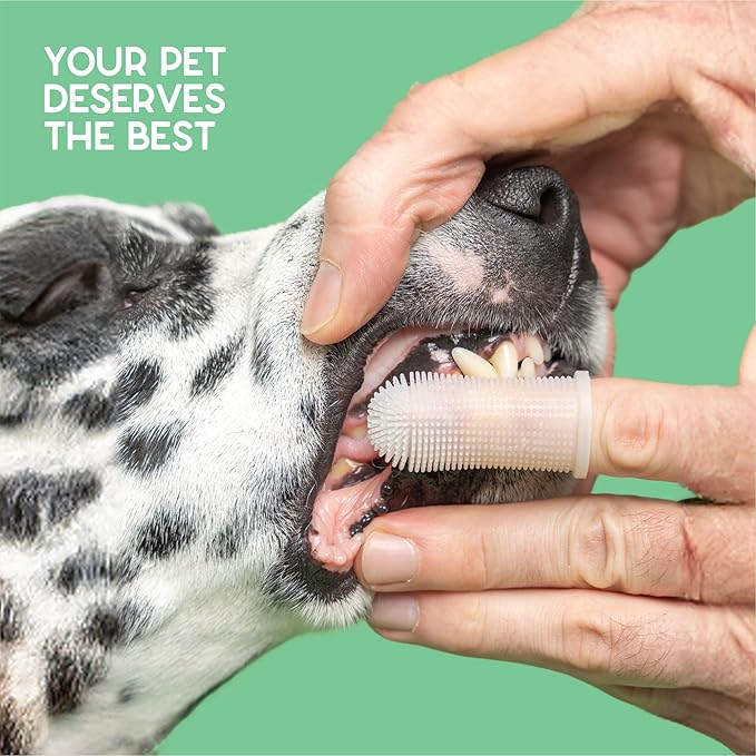 Dog Teeth Cleaning Gel - Helps Reduce Plaque & Bad Breath - Periodontist Formulated - Toothpaste Alternative - Prevent Tartar - includes Finger Cot (Mint - 2 Month Supply)