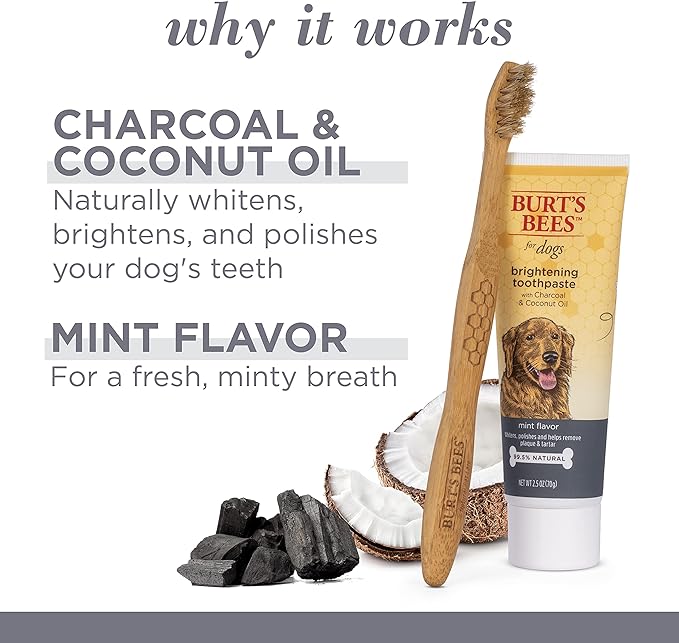Burt's Bees for Pets Care Plus + Charcoal & Coconut Oil Brightening Toothpaste & Toothbrush - Naturally Derived Dog Toothpaste and Toothbrush Kit - Dog Oral Care Dog Toothpaste Kit, 2.5 Oz