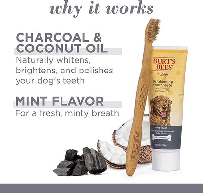 Burt's Bees for Pets Care Plus + Charcoal & Coconut Oil Brightening Toothpaste & Toothbrush - Naturally Derived Dog Toothpaste and Toothbrush Kit - Dog Oral Care Dog Toothpaste Kit, 2.5 Oz