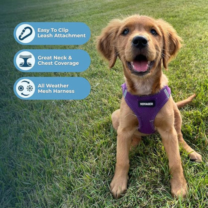 Voyager Step-in Air Dog Harness - All Weather Mesh Step in Vest Harness for Small and Medium Dogs and Cats by Best Pet Supplies - Harness (Purple), XL (Chest: 20.5-23")
