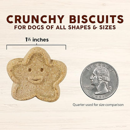 Cloud Star Wag More Bark Less - Dog Treats - Crunchy Biscuits - Grain Free Pumpkin - 2.5 lb Pouch
