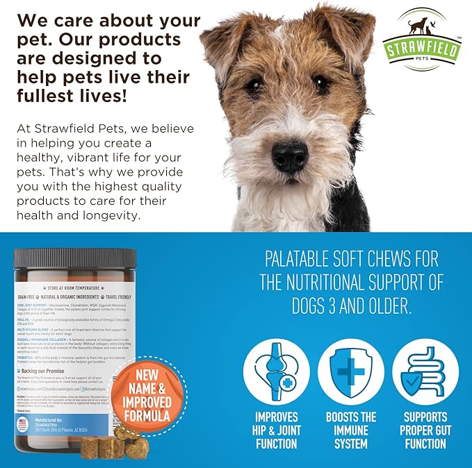 Strawfield Pets Dog Multivitamin + Dog Probiotics Soft Chews | Glucosamine Chondroitin, Probiotics, Omega 3 | Dog Supplements & Vitamins | Dog Health Supplies | 120 Grain Free Chews, USA