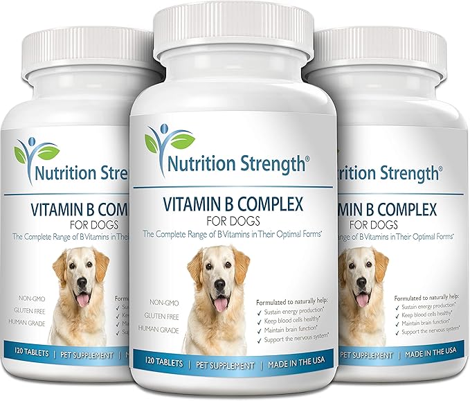 Vitamin B for Dogs, Complete B Complex for Dogs, Promote Blood Cell & Nervous System Health, Help Sustain Cellular Energy Production & Maintain Brain Function, 120 Chewable Tablets