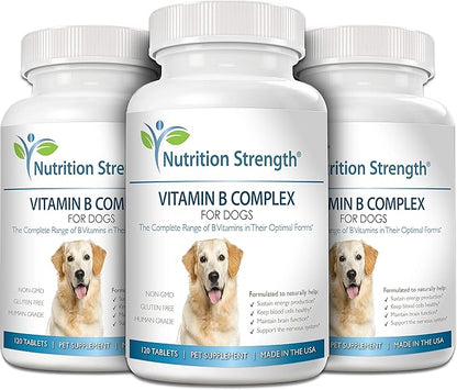 Vitamin B for Dogs, Complete B Complex for Dogs, Promote Blood Cell & Nervous System Health, Help Sustain Cellular Energy Production & Maintain Brain Function, 120 Chewable Tablets