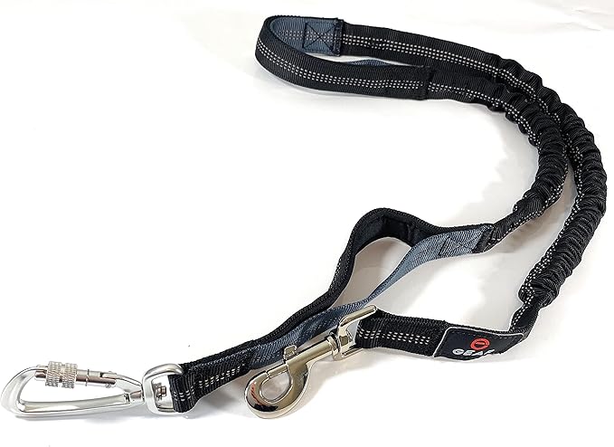 Hands Free Dog Leash with Locking Carabiner | Waterproof Running Dog Leash with Zipper Pouch, Dual Padded Handles and Durable Bungee for Active Dogs and Lifestyles