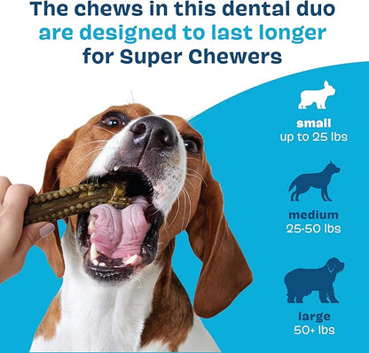 Bark Bright Durable Dental Chews Kit - Dog Tooth Brushing Treatment with Teeth Cleaning Chew Sticks & Toothpaste - Plaque & Tartar Remover for Cleaner Teeth & Fresh Breath - Small Breeds - 15 Chews