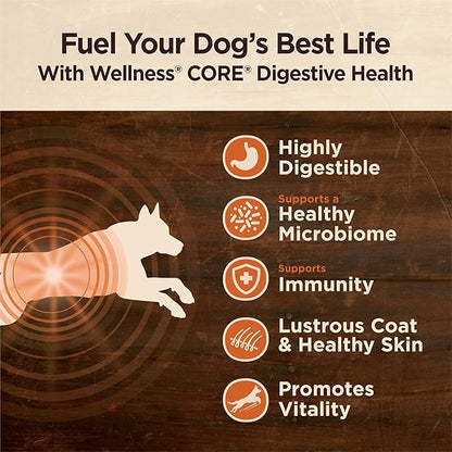 Wellness CORE Digestive Health Dry Dog Food with Wholesome Grains, Highly Digestible, for Dogs with Sensitive Stomachs, Made in USA with Real Protein (Small Breed, Chicken & Brown Rice, 12-Pound Bag)