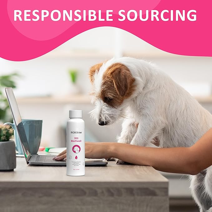 Dog Mouthwash: Advanced Dental Care Water Additive for Dogs | Keep Dog Breath Fresh and Teeth Clean | Supports Gum Health | Eliminates Bad Breath, Whitens Teeth, Prevents Cavities
