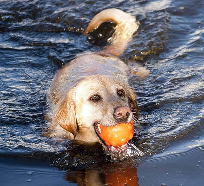 Jolly Pets Orange Jolly Jumper Ball Dog Toy 3 in