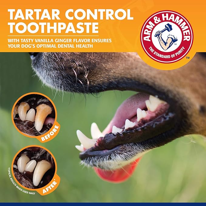 Arm & Hammer for Pets Tartar Control EZ Clean 360 Dental Tool for Small Dogs, Baking Soda Toothpaste Included |Refillable Dog Dental Toy for Easy Dog Teeth Cleaning |Fun Way to Promote Dental Health