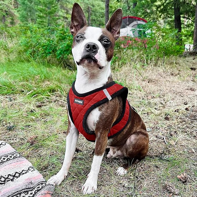 Voyager Step-In Plush Dog Harness – Soft Plush, Step In Vest Harness for Small and Medium Dogs by Best Pet Supplies - Harness (Red Plush), XS (Chest: 13 - 14.5")
