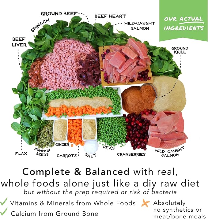 Simple Food Project - Beef & Salmon Recipe - Freeze Dried Raw Food for Dogs - 48oz