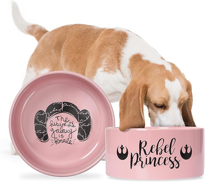 STAR WARS Princess Leia "Future is Female" Dog Bowl, 6 Inch | 6" Dog Bowl, Ceramic Dishwasher Safe STAR WARS Dog Food Bowl Holds up to 3.5 Water, Dry Food, or Wet Food,Pink,1 Count (Pack of 1),FF13175