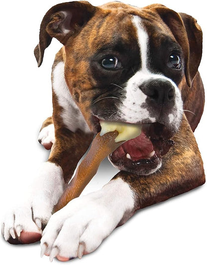 Nylabone Power Chew Femur Bone Rawhide Alternative Nylon Chew Toy for Dogs, Dog Toys for Aggressive Chewers, Beef, Large/Giant (1 Count)