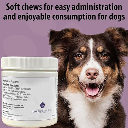 Dog Skin & Coat Supplement Chews - Skin Health Chewable Supplement for All Ages & Breeds - Promotes Healthy Skin & Lustrous Coat - Rich in Omega Fatty Acids & Vitamins – 60 Chews