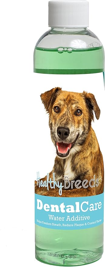 Healthy Breeds Dog Dental Care Water Additive for Plott - Helps Freshen Breath, Reduce Plaque & Control Tartar - Mint Flavor - 8 oz