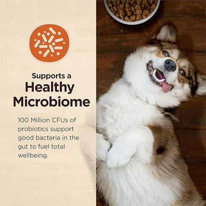 Wellness CORE Digestive Health Dry Dog Food with Wholesome Grains, Highly Digestible, for Dogs with Sensitive Stomachs, Made in USA with Real Chicken (Adult, 4-Pound Bag)