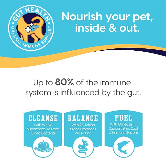 Solid Gold Canned Dog Food for Adult & Senior Dogs - Grain Free Wet Dog Food with Real Chicken - Sun Dancer High Calorie Wet Dog Food for Healthy Digestion and Immune Support…