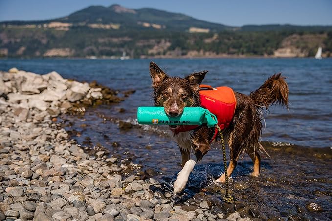 Ruffwear, Lunker Durable Floating Toy for Dogs, Aurora Teal, Medium