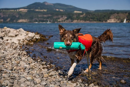 Ruffwear, Lunker Durable Floating Toy for Dogs, Aurora Teal, Medium