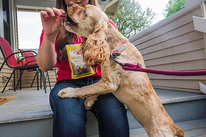 Tender & True Organic Turkey Jerky Treat, 4 oz bag