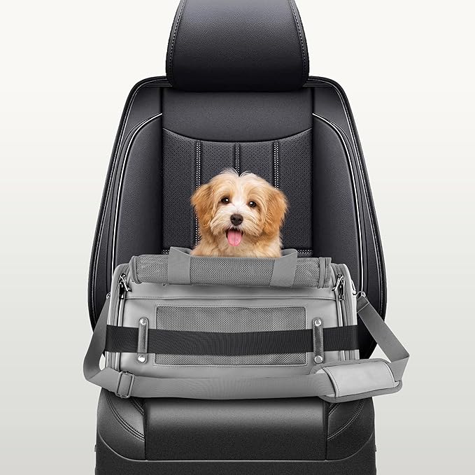 TSA Airline Approved PU Leather Luxury Pet Carrier - Size XS/S - for Small Dogs and Cats