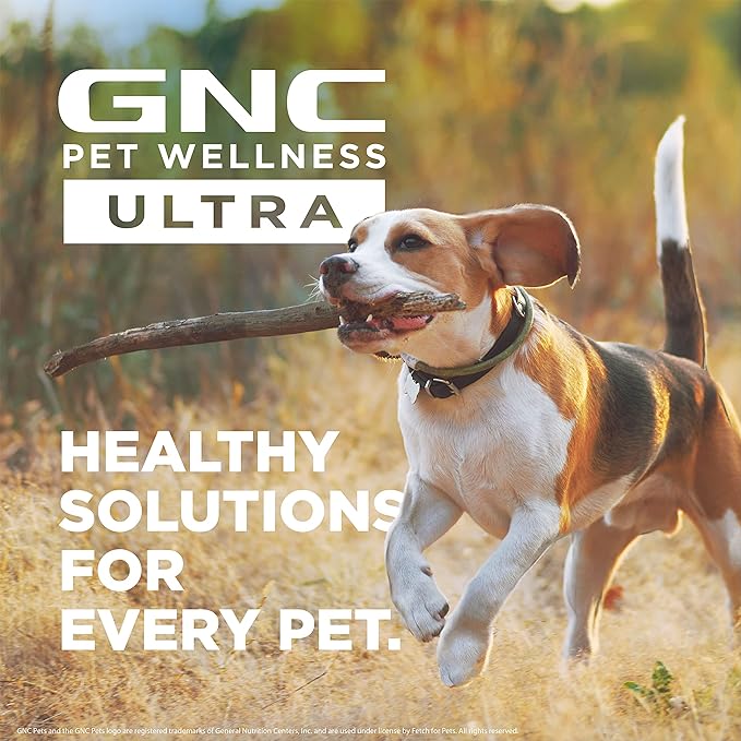 GNC Pets ULTRA Skin & Coat Soft Chews, All Dogs, Chicken Flavor. 60-ct in a 16-oz Canister | Daily Supplement for Skin & Coat for Dogs in Chewable Chicken Flavor