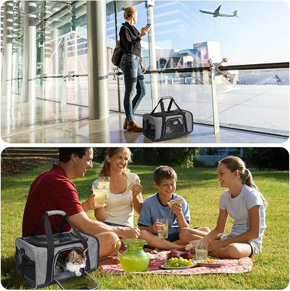 TSA Approved Pet Carrier for Small Cats Dogs, Travel Bag with Adequate Ventilation, 5 Mesh Windows, 3 Entrance, Locking Safety Zippers, Padded Shoulder and Carrying Strap, Small