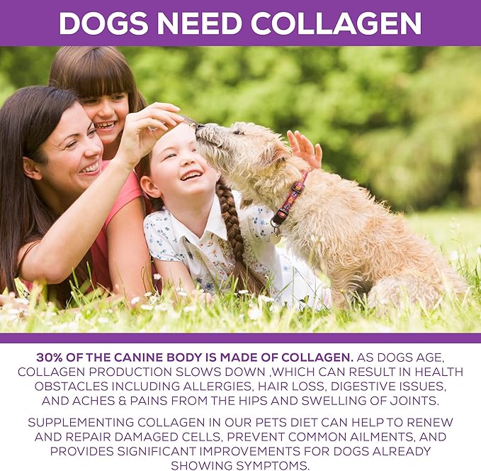 Premium Collagen Gelatin Protein for Dogs, 1Lb 10 Oz