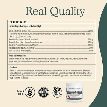 Mushroom Immune Support Pet Chews (60ct) treats for dogs – Immune booster supplements for pets with Ashwagandha, Astragalus, Blueberry, Olive Leaf, Acerola &Gut Health for Dogs and Cats