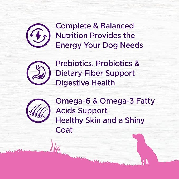 Wellness Complete Health Toy Breed Dry Dog Food with Grains, Chicken & Rice, 4-Pound Bag