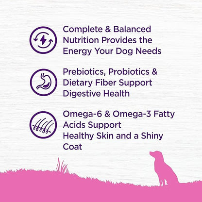 Wellness Complete Health Toy Breed Dry Dog Food with Grains, Chicken & Rice, 4-Pound Bag